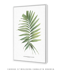 Quadro decorativo Palm Elegans - comprar online