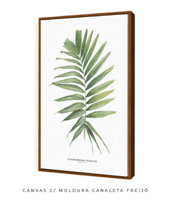 Quadro decorativo Palm Elegans - loja online