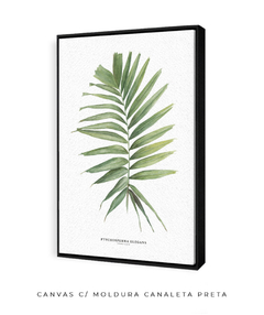 Imagem do Quadro decorativo Palm Elegans