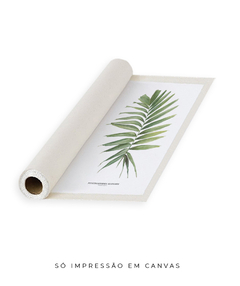 Quadro decorativo Palm Elegans na internet