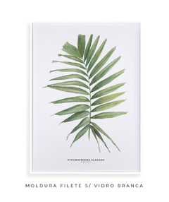 Quadro decorativo Palm Elegans - loja online