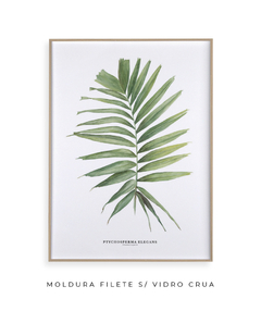 Quadro decorativo Palm Elegans - Flowersjuls - Quadros botânicos decorativos | Aquarelas autorais