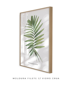 Quadro decorativo Palm Elegans - comprar online