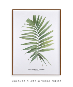 Quadro decorativo Palm Elegans