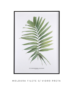 Quadro decorativo Palm Elegans - loja online