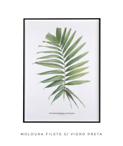 Quadro decorativo Palm Elegans - loja online
