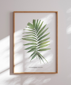 Quadro decorativo Palm Elegans