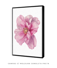 Quadro Decorativo Peonia I - Flowersjuls - Quadros botânicos decorativos | Aquarelas autorais