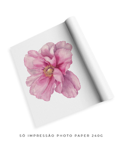 Quadro Decorativo Peonia I - comprar online