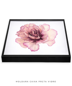 Imagem do Quadro Decorativo Peonia II