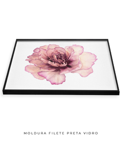 Imagem do Quadro Decorativo Peonia II