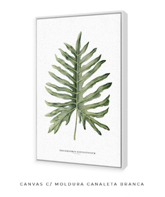 Quadro Decorativo Philodendron Guaimbé - Flowersjuls - Quadros botânicos decorativos | Aquarelas autorais