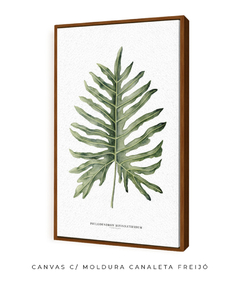 Quadro Decorativo Philodendron Guaimbé na internet