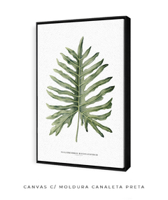 Quadro Decorativo Philodendron Guaimbé - Flowersjuls - Quadros botânicos decorativos | Aquarelas autorais