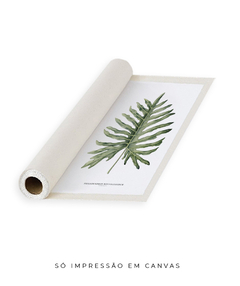 Quadro Decorativo Philodendron Guaimbé - loja online