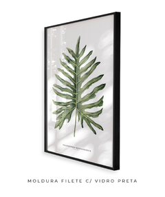 Quadro Decorativo Philodendron Guaimbé - comprar online