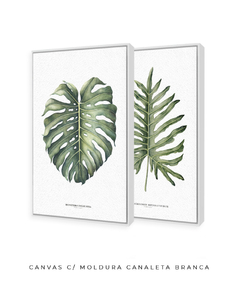 Quadro Decorativo Philodendron Guaimbé + Monstera - Flowersjuls - Quadros botânicos decorativos | Aquarelas autorais