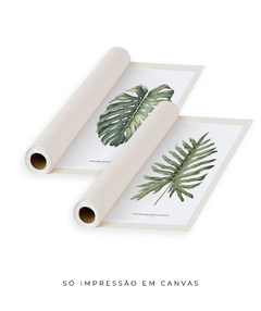 Quadro Decorativo Philodendron Guaimbé + Monstera - comprar online