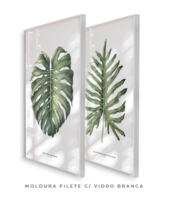 Quadro Decorativo Philodendron Guaimbé + Monstera - Flowersjuls - Quadros botânicos decorativos | Aquarelas autorais