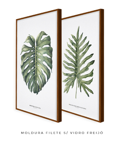 Quadro Decorativo Philodendron Guaimbé + Monstera