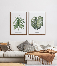 Quadro Decorativo Philodendron Guaimbé + Monstera