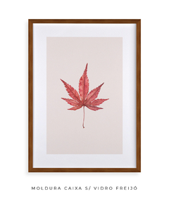 Quadro Decorativo Platano I - comprar online