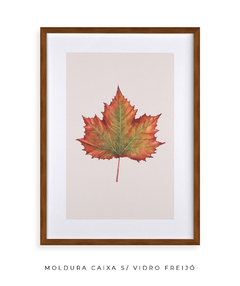 Quadro Decorativo Platano III - comprar online