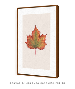 Quadro Decorativo Platano III - comprar online