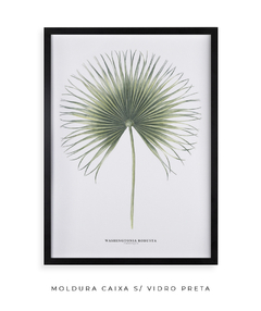 Quadro Decorativo Washingtonia Robusta - loja online