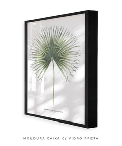 Quadro Decorativo Washingtonia Robusta - comprar online