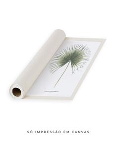 Quadro Decorativo Washingtonia Robusta - loja online