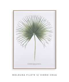 Quadro Decorativo Washingtonia Robusta na internet