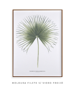 Quadro Decorativo Washingtonia Robusta - loja online