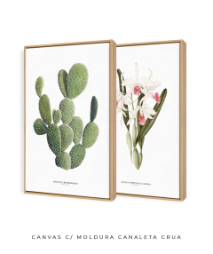 Imagem do Quadros Decorativos Cactos Opuntia + Orquídea Laelia Carnea