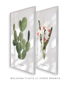 Quadros Decorativos Cactos Opuntia + Orquídea Laelia Carnea