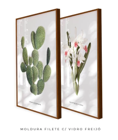 Quadros Decorativos Cactos Opuntia + Orquídea Laelia Carnea - Flowersjuls - Quadros botânicos decorativos | Aquarelas autorais