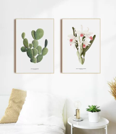 Quadros Decorativos Cactos Opuntia + Orquídea Laelia Carnea