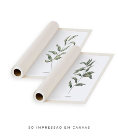 Quadros Decorativos Dupla Eucaliptos - loja online