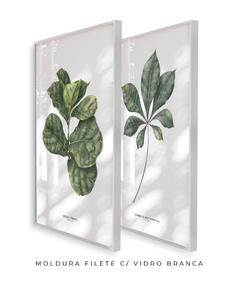 Quadros Decorativos Dupla Ficus + Tabebuia - Flowersjuls - Quadros botânicos decorativos | Aquarelas autorais