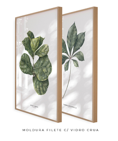 Quadros Decorativos Dupla Ficus + Tabebuia - comprar online