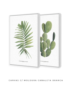 Quadros Decorativos Dupla Palm Elegans + Opuntia - comprar online