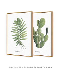 Quadros Decorativos Dupla Palm Elegans + Opuntia na internet