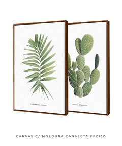 Quadros Decorativos Dupla Palm Elegans + Opuntia - Flowersjuls - Quadros botânicos decorativos | Aquarelas autorais