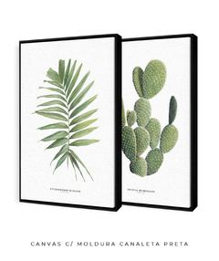 Imagem do Quadros Decorativos Dupla Palm Elegans + Opuntia