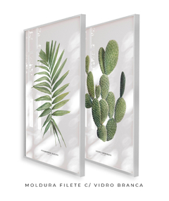 Imagem do Quadros Decorativos Dupla Palm Elegans + Opuntia