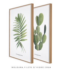 Quadros Decorativos Dupla Palm Elegans + Opuntia