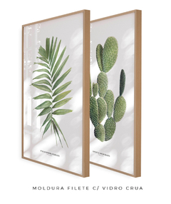 Quadros Decorativos Dupla Palm Elegans + Opuntia - comprar online