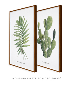 Quadros Decorativos Dupla Palm Elegans + Opuntia na internet