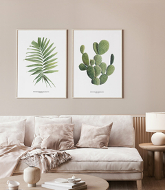 Quadros Decorativos Dupla Palm Elegans + Opuntia