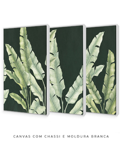 Trio Quadro Decorativo Composição Helicônias Esmeralda